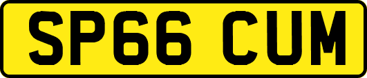 SP66CUM