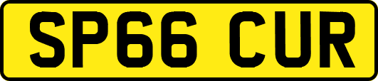 SP66CUR