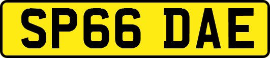SP66DAE