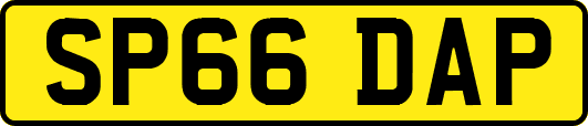 SP66DAP