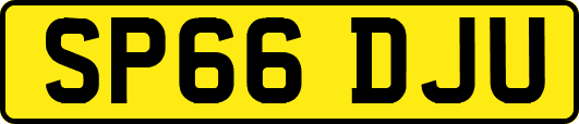 SP66DJU