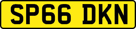 SP66DKN