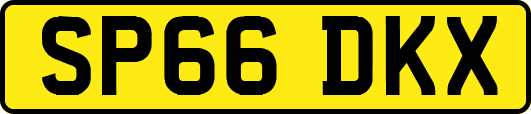SP66DKX