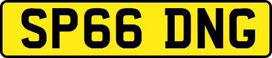 SP66DNG
