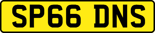 SP66DNS