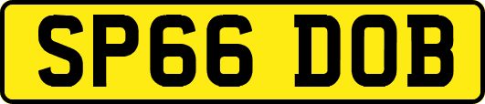 SP66DOB