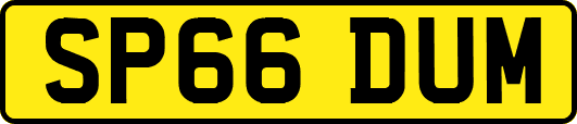 SP66DUM