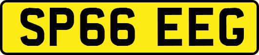 SP66EEG