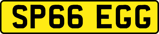 SP66EGG