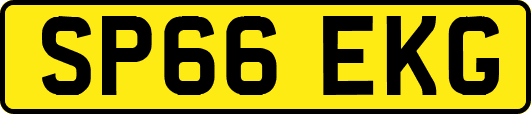 SP66EKG