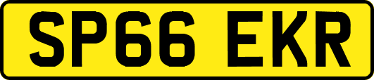 SP66EKR