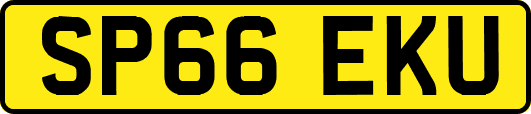SP66EKU