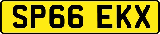 SP66EKX
