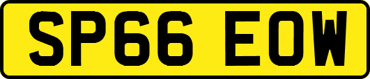 SP66EOW
