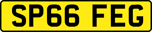 SP66FEG