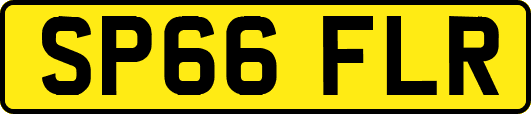 SP66FLR