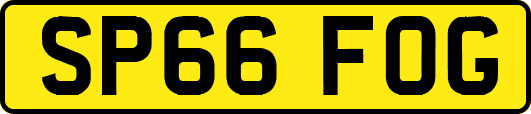 SP66FOG