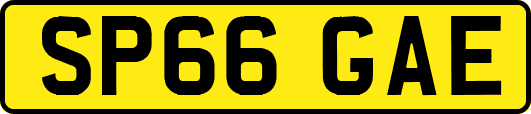 SP66GAE