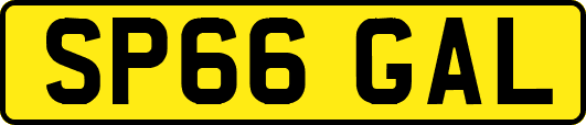 SP66GAL