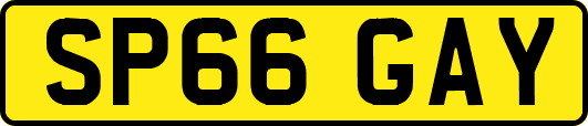 SP66GAY