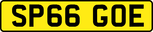 SP66GOE