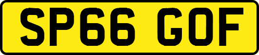 SP66GOF