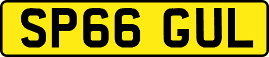 SP66GUL