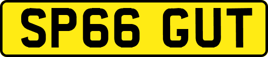 SP66GUT