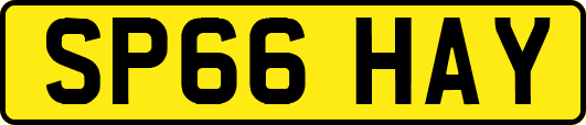 SP66HAY