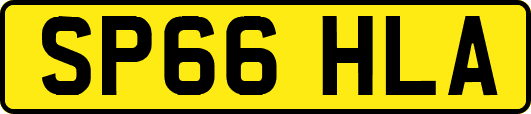 SP66HLA