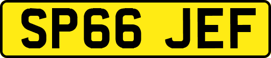 SP66JEF