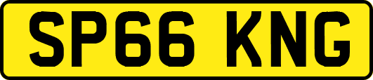SP66KNG