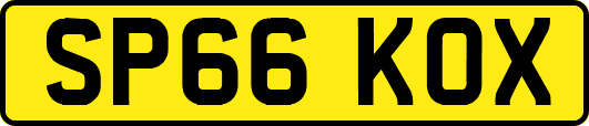 SP66KOX