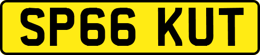SP66KUT
