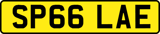 SP66LAE