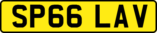 SP66LAV