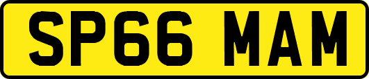 SP66MAM