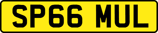 SP66MUL