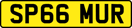 SP66MUR
