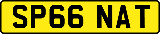 SP66NAT