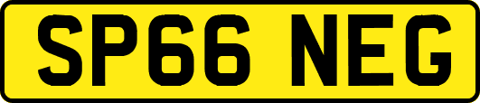SP66NEG