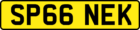 SP66NEK