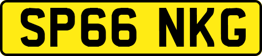 SP66NKG