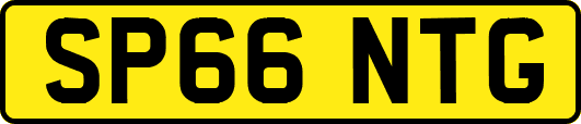 SP66NTG