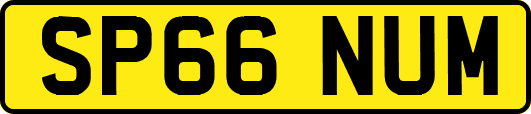 SP66NUM