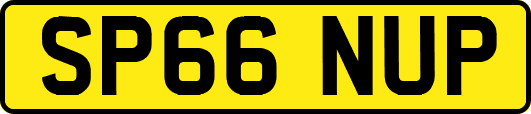 SP66NUP