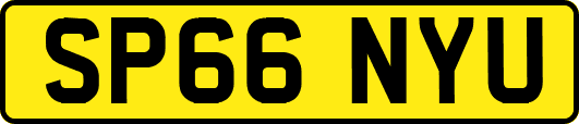 SP66NYU