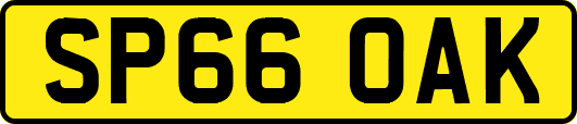 SP66OAK