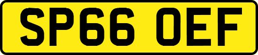 SP66OEF