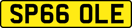 SP66OLE